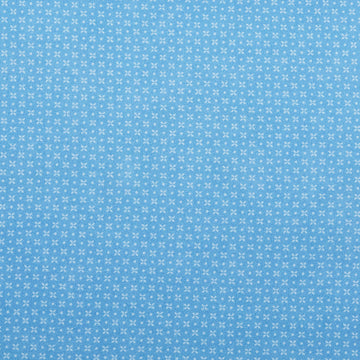 Enchanted Garden - Blue Dots and X's 2 Yard Cut