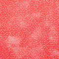 Strawberry Season Favorites - Seeds Strawberry 2 Yard Cut