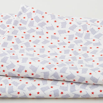 Vintage Valor Favorites - Americana Flags 2 Yard Cut