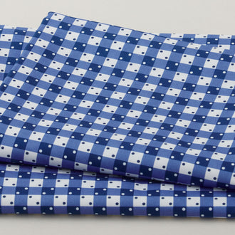 Picnics and Parades Favorites - Blue Jay Gingham 2 Yard Cut