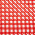 Picnics and Parades Favorites - Punch Gingham 2 Yard Cut