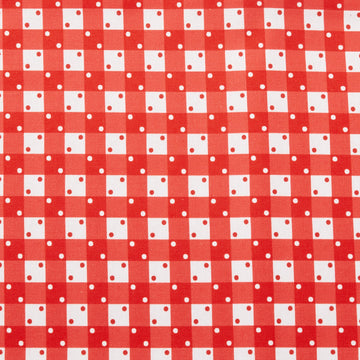 Picnics and Parades Favorites - Punch Gingham 2 Yard Cut