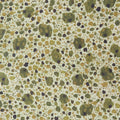 Sunset Garden Favorites - Moss Spots 2 Yard Cut