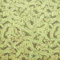 Jeweled Autumn Favorites - Ivy 2 Yard Cut