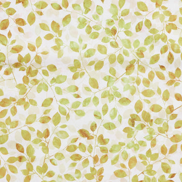 Moss & Mulberry Favorites - Natural Leafy Branches 2 Yard Cut
