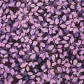 Moss & Mulberry Favorites - Berry Leafy Branches 2 Yard Cut