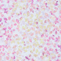 Moss & Mulberry Favorites - Hydrangea Leafy Branches 2 Yard Cut