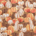 September Fields Favorites - Spice Gourds 2 Yard Cut