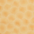 September Fields Favorites - Honey Sunflower Centers 2 Yard Cut
