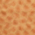 September Fields Favorites - Amber Sunflower Centers 2 Yard Cut