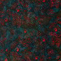 Joyful Holidays Batiks Favorites - Pine Cardinal 2 Yard Cut