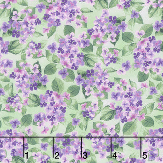 Hydrangea Grace - Small Hydrangeas Green Yardage