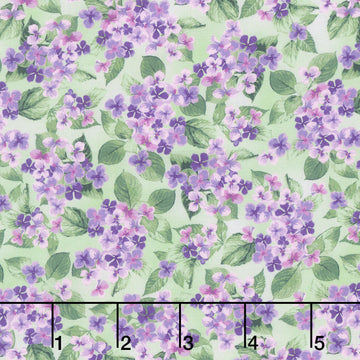 Hydrangea Grace - Small Hydrangeas Green Yardage