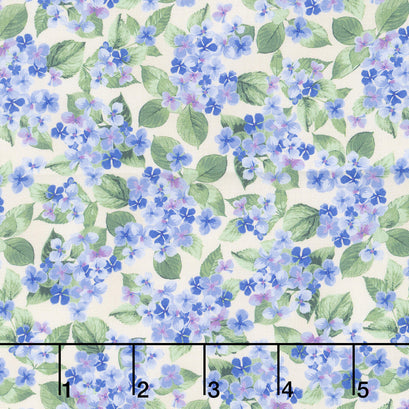 Hydrangea Grace - Small Hydrangeas Natural Yardage