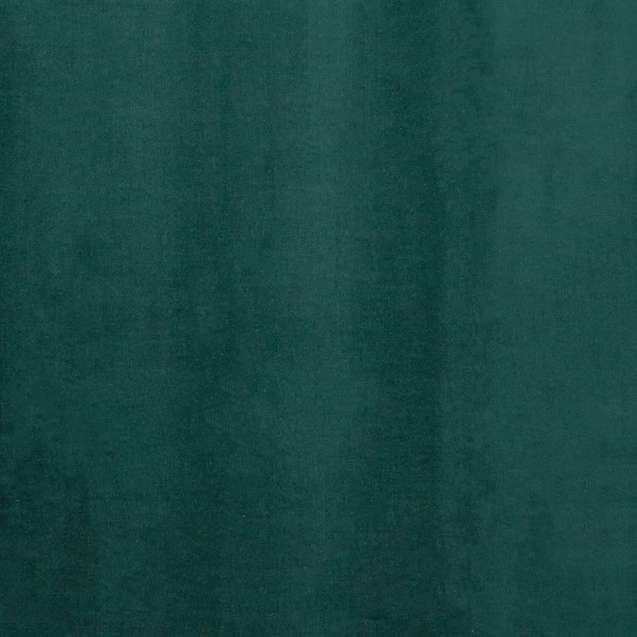 Lush Velveteen Wide - Solid Forest Yardage