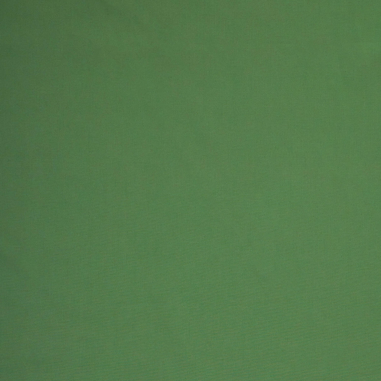 Kona Cotton - Color of the Year 2026 Yardage