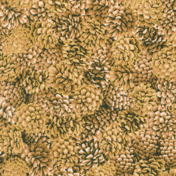 Holiday Flourish - Forest Glen Packed Pinecones Brown Metallic Yardage