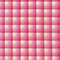 Kitchen Window Wovens - Watermelon Yardage