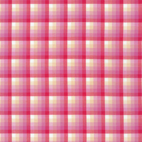 Kitchen Window Wovens - Watermelon Yardage