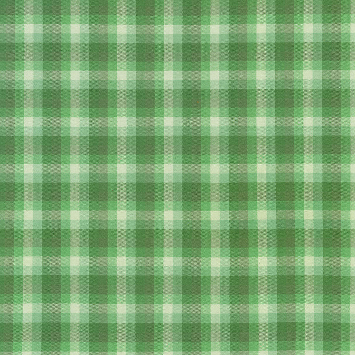 Kitchen Window Wovens - Palm Yardage