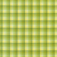 Kitchen Window Wovens - Plaid Zucchini Yardage