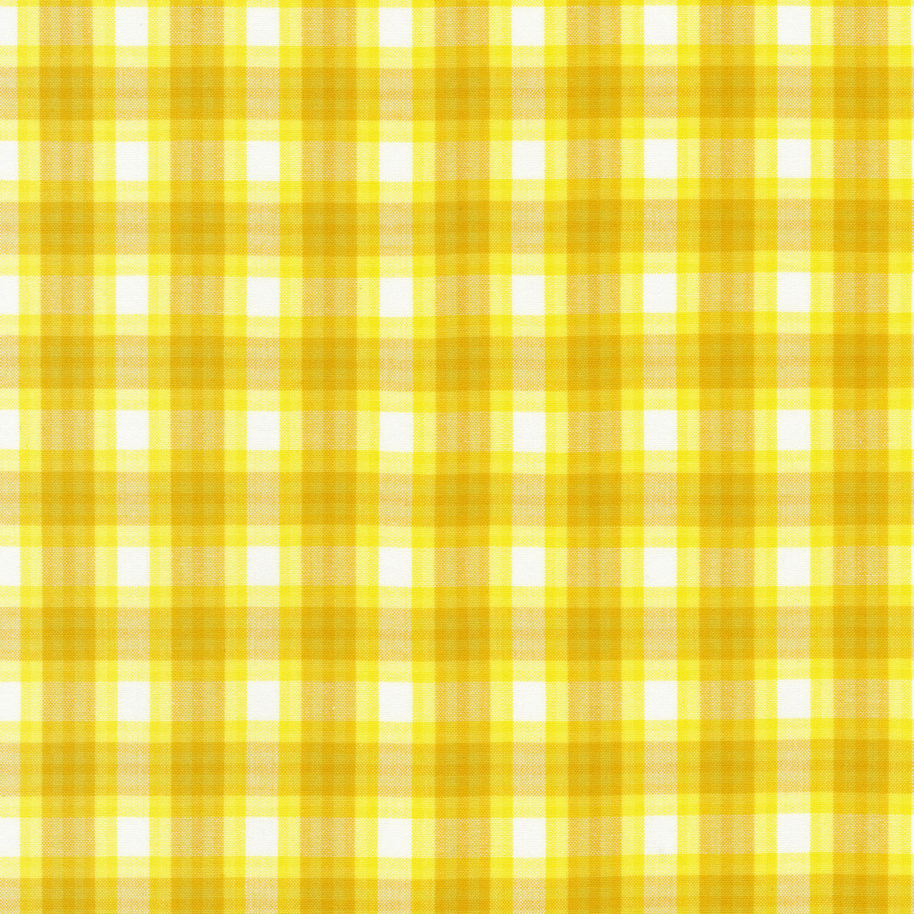 Kitchen Window Wovens - Citrus Yardage