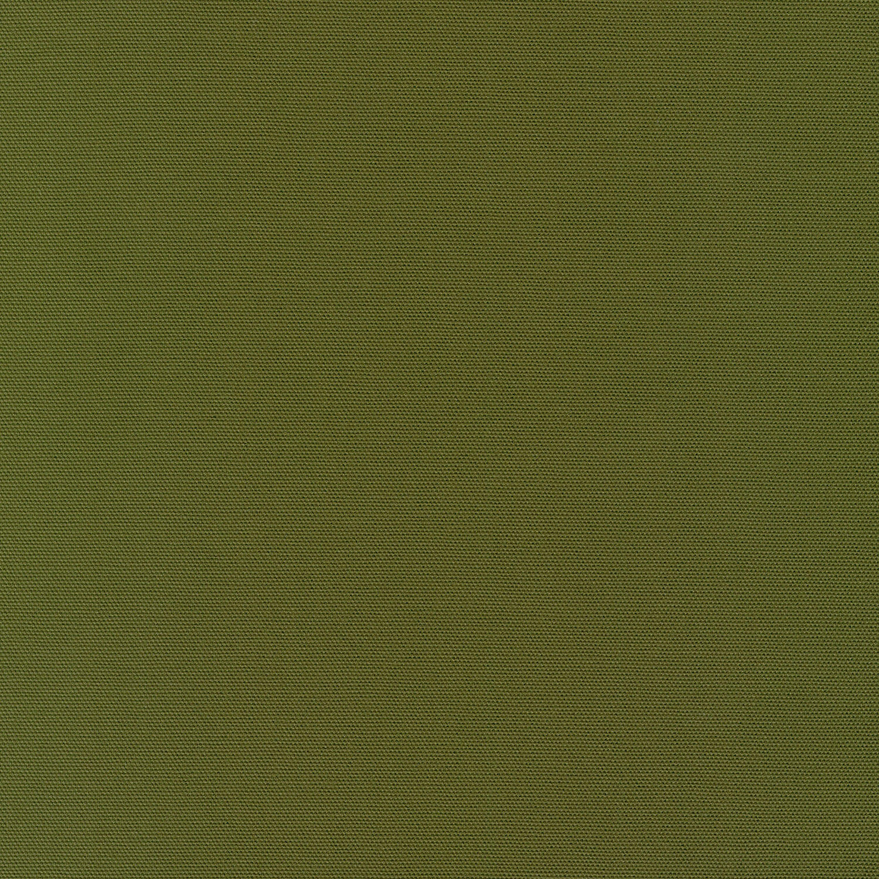 Big Sur Canvas - Moss Green Yardage