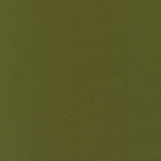 Big Sur Canvas - Moss Green Yardage
