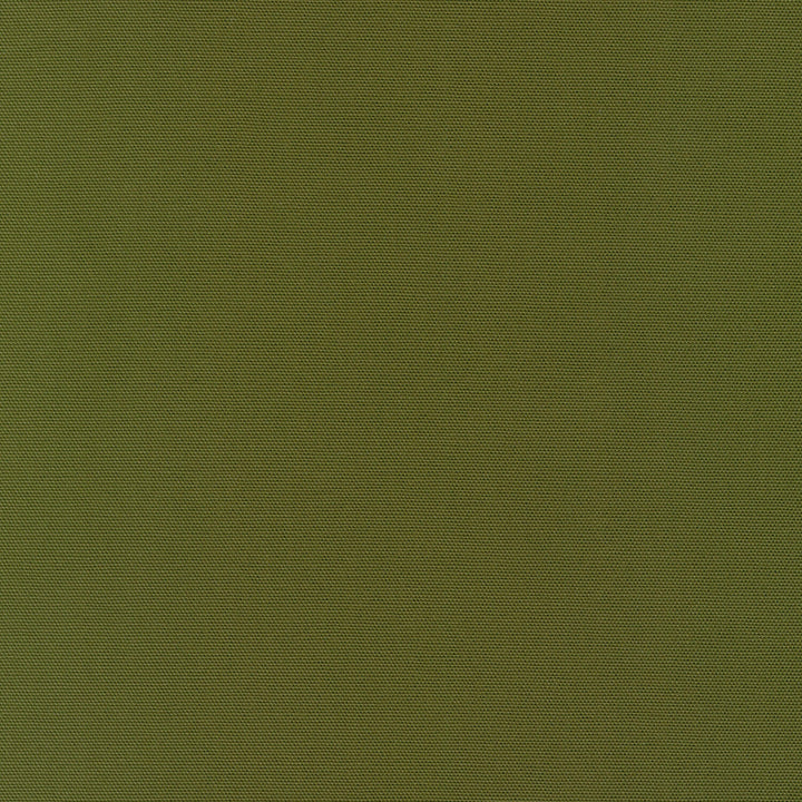 Big Sur Canvas - Moss Green Yardage