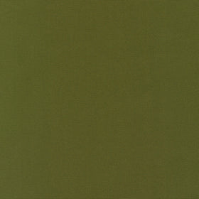 Big Sur Canvas - Moss Green Yardage