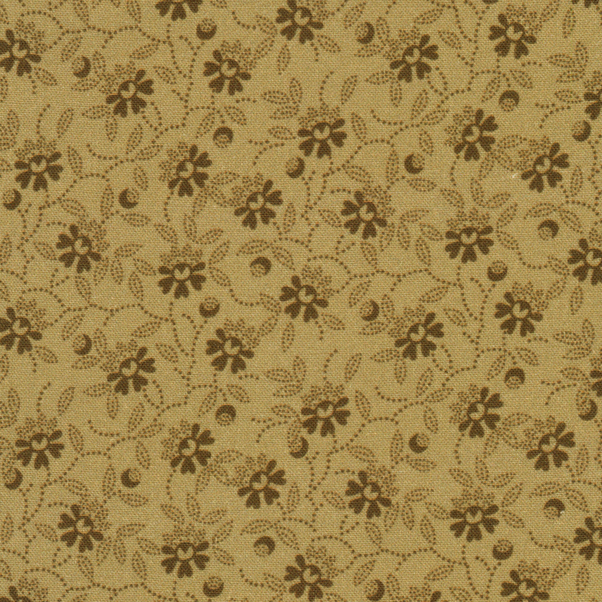 Dakota Threads Wide - ***RKAI*** Tan Yardage