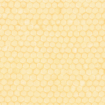 Everyday Favorites - Honeycomb Honey Yardage
