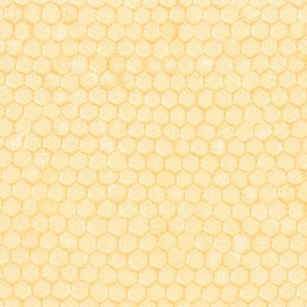 Everyday Favorites - Honeycomb Honey Yardage