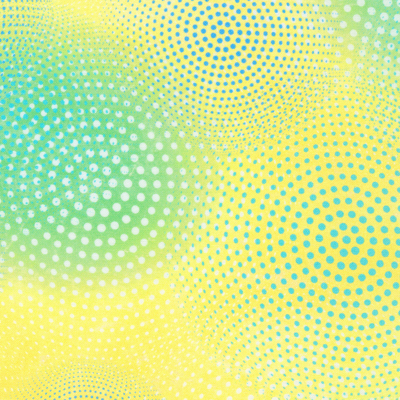 Enchanted Aviary - Spirals Citrus Yardage