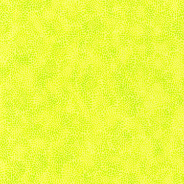 Fusions - Citrus Yardage