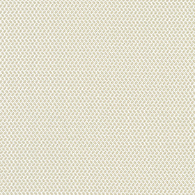 Georgina - Vintage White Yardage