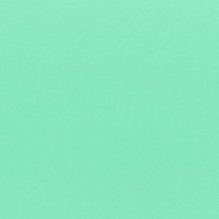 Laguna Cotton Jersey - Jade Yardage