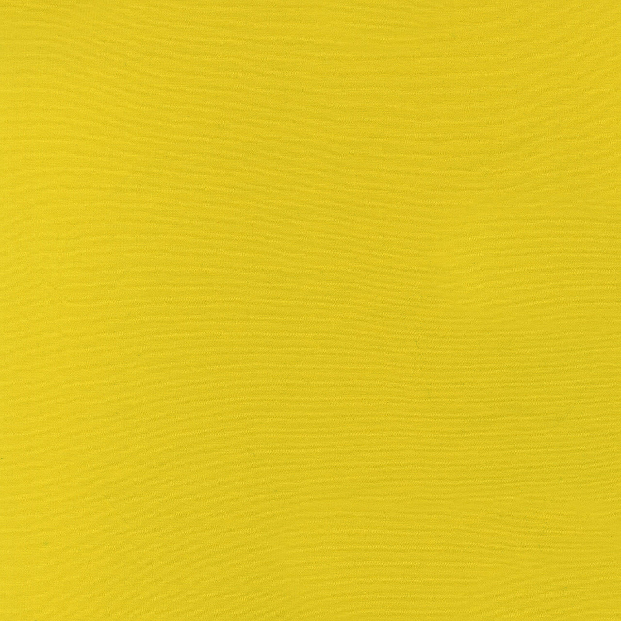 Laguna Cotton Jersey - Sunflower Yardage