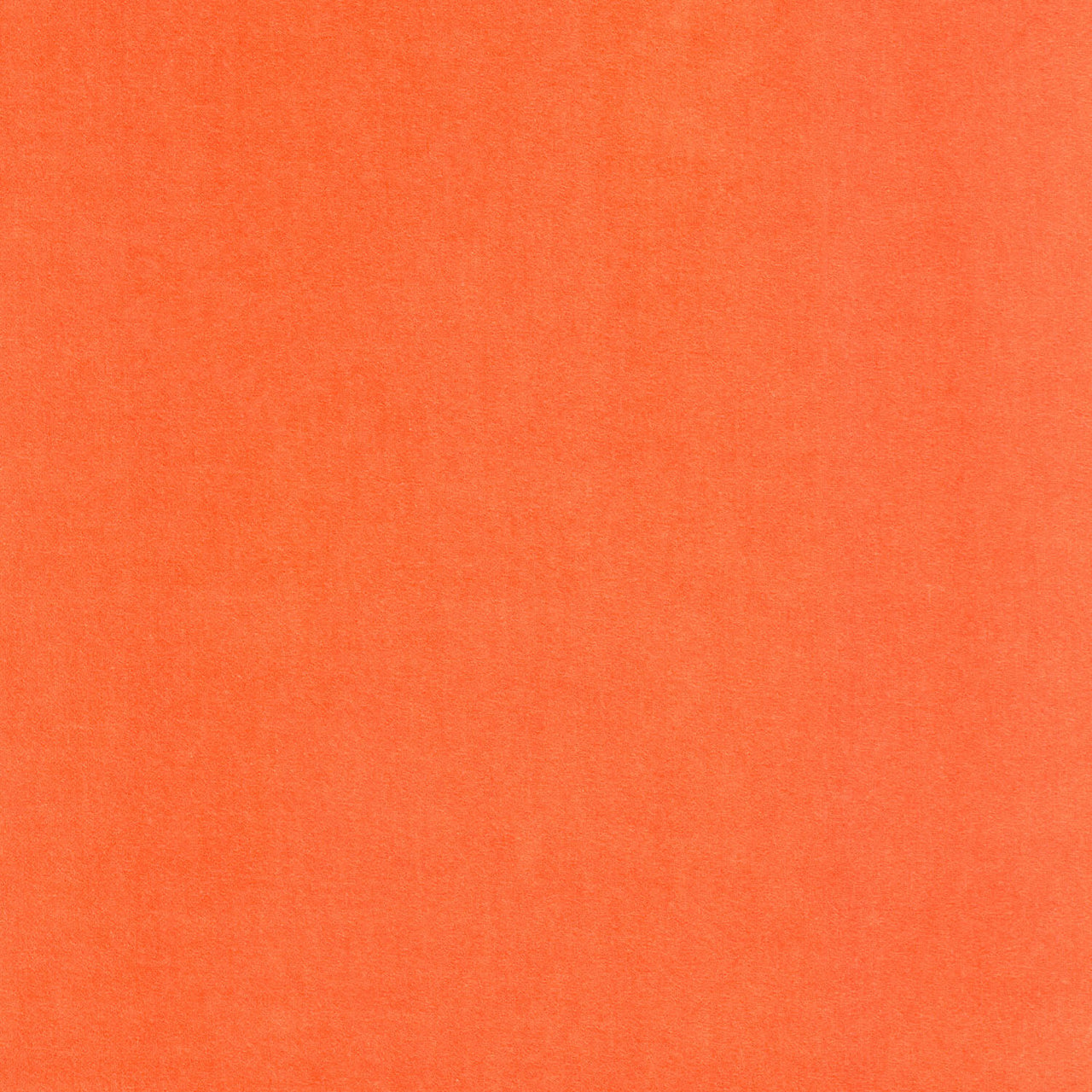 Lush Velveteen - Nectarine Yardage