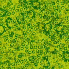 Storyboard - Circles Moss Yardage