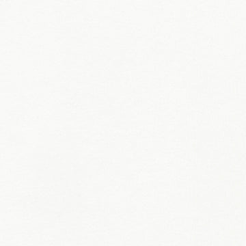 Sueno Cotton Tencel Jersey - White Yardage