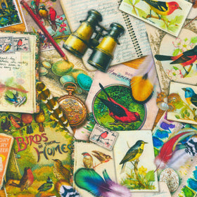 Vintage Birdwatcher - Vintage Yardage