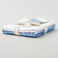Picnics and Parades Favorites - Blue Fat Quarter Bundle - 5 Pieces