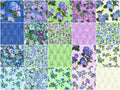 Hydrangea Grace Ten Squares