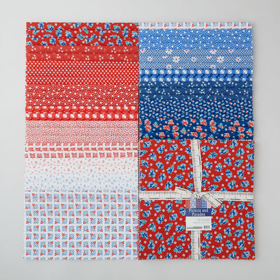 Picnics and Parades Favorites Ten Squares