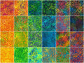 Artisan Batiks Aloha Sunset Ten Squares