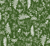 Quilting Cuddle Prints - Whispering Blooms Faegrove Cactus Yardage