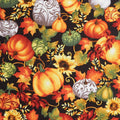 Seeds of Gratitude - Pumpkins Black Multi 2 Yard Cut