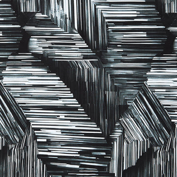 I Walk The Line 118" Wide - Line Art Geo Black/White Digitally Printed 3 Yard Cut