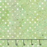 Holly Woods - Shaded Dots Matcha Digitally Printed Yardage